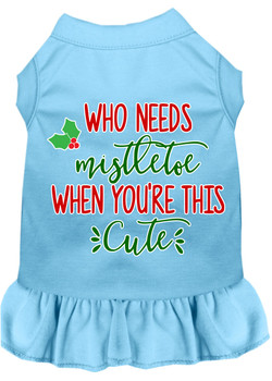 Who Needs Mistletoe Screen Print Dog Dress Baby Blue