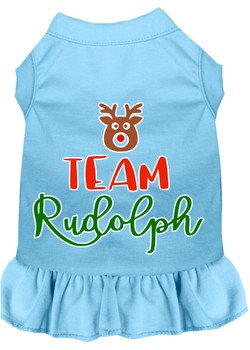 Team Rudolph Screen Print Dog Dress - Baby Blue