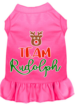 Team Rudolph Screen Print Dog Dress - Bright Pink