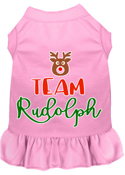 Team Rudolph Screen Print Dog Dress - Light Pink
