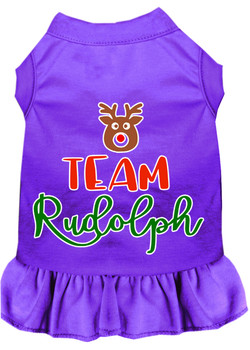 Team Rudolph Screen Print Dog Dress - Purple