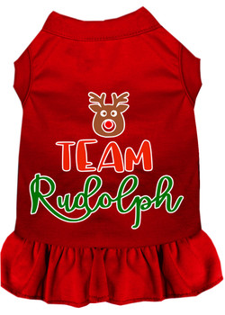 Team Rudolph Screen Print Dog Dress - Red