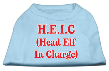 Head Elf In Charge Screen Print Shirt - Baby Blue