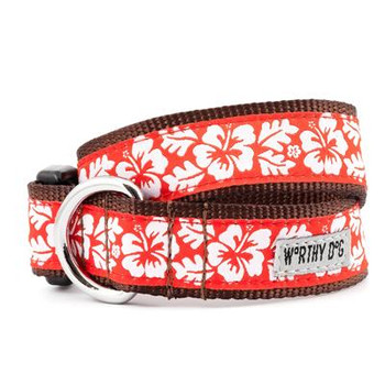 Aloha Pet Dog Collar & Leash