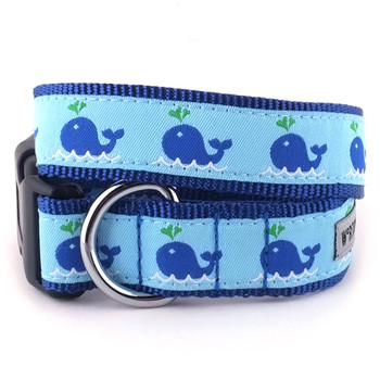 Squirt Pet Dog Collar & Optional Lead