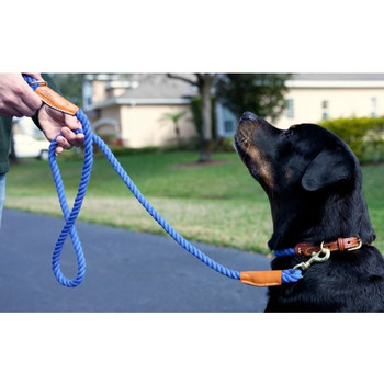 Cotton Rope Leash with Leather Accents - Nautical Blue - Snap