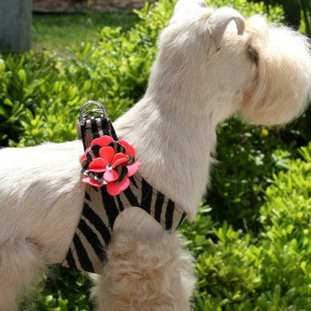 Susan Lanci Designs Sarah Flowers Dog Step In Harness 