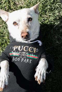 Fresh Pawz Black Pucci Dog Park Hoodie 