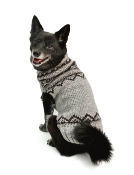 Chilly Dog Alpaca Pewter Wyatt Hand Knit Dog Sweaters 