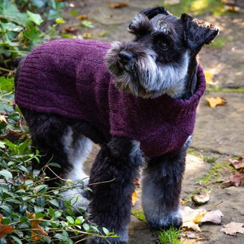 Canine Styles Cashmere Dog Sweater - Navy, Burgundy, Winter White