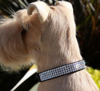 Susan Lanci Designs Giltmore 3 Row Collars - Perfect Pink