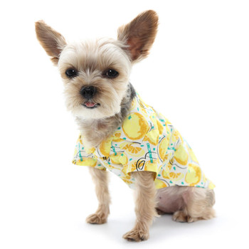 Dogo Pet Lemonade Dog Camp Shirt