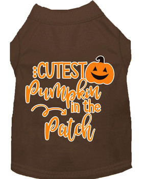 Mirage Pet Cutest Pumpkin In The Patch Screen Print Dog Shirt - Brown