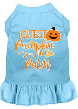 Mirage Pet Cutest Pumpkin In The Patch Screen Print Dog Dress - Baby Blue