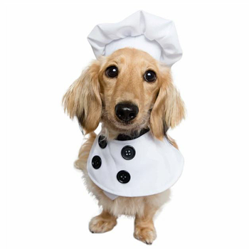 Top Chef Uniform Pet Dog Costume Top Chef Uniform Pet Dog Costume