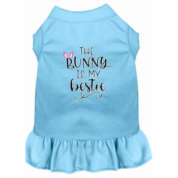 Bunny Is My Bestie Screen Print Dog Dress - Baby Blue