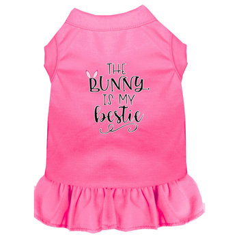 Bunny Is My Bestie Screen Print Dog Dress - Bright Pink