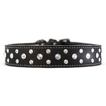 Auburn Leather 3 Row Crystallized Tuscan Dog Collars and Matching Leash - More Colors Auburn Leather 3 Row Crystallized Tuscan Dog Collars and Matching Leash - More Colors