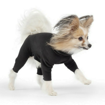 Pet Dog Onesie / Pajama - Black/Black