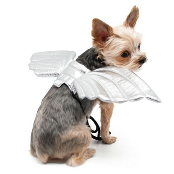 Dogo Pet Silver Angel Wings for Dogs