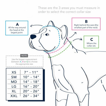 How to measure for a Martingale Collar