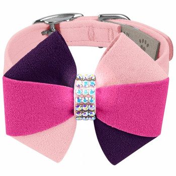 Pinwheel Pink is Love Dog Collar