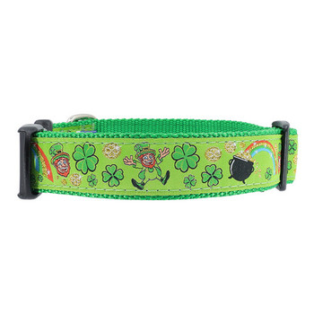 Mr. Lucky 3/4 & 1.25 inch Dog Collar, Harness
