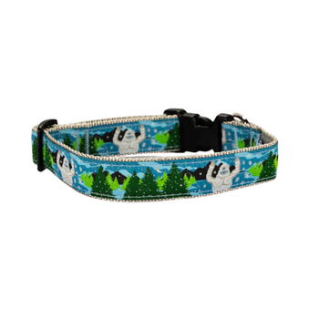 Yeti 3/4 & 1.25 inch Dog Collar, Harness