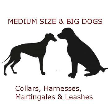 Preston Dog Dog Collar - American Dog, 1 1/4