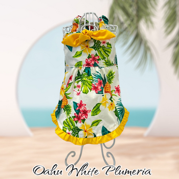 Designer Oahu White Plumeria Aloha Dog Dress