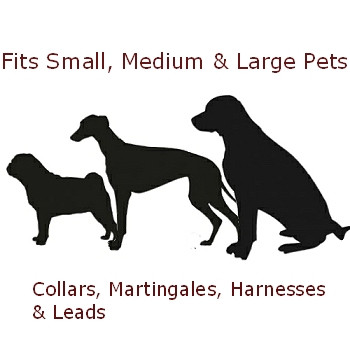 Dog Collar - Seagulls -  3/4 & 1 1/4