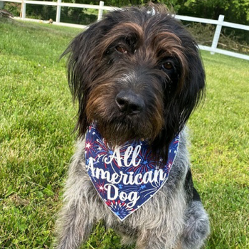All American Dog Pet Dog Bandanas