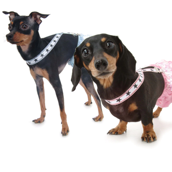 Puppy Angel Dog Suspenders - More patterns