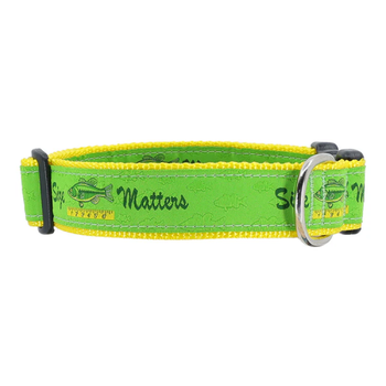 Size Matters - 3/4 & 1.25 inch Dog Collar, Harness