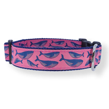 Humpback Whale on Raspberry - 3/4 & 1.25 inch Dog Collar, Harness
