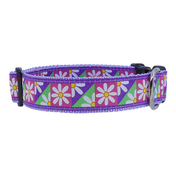 Dog Collar - Oopsy Daisy -  3/4 & 1 1/4