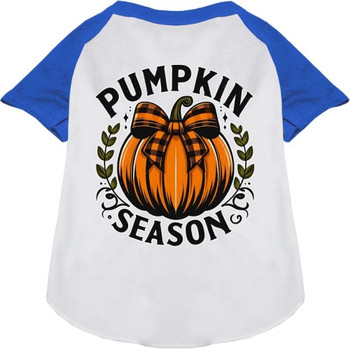 Pumpkin Season Ragland Dog Shirt - More Colors