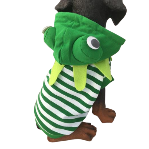 Frog Pet Dog Costume