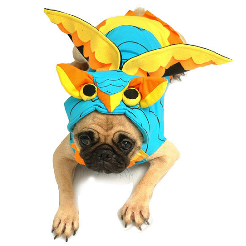 Owl Pet Dog Costume
