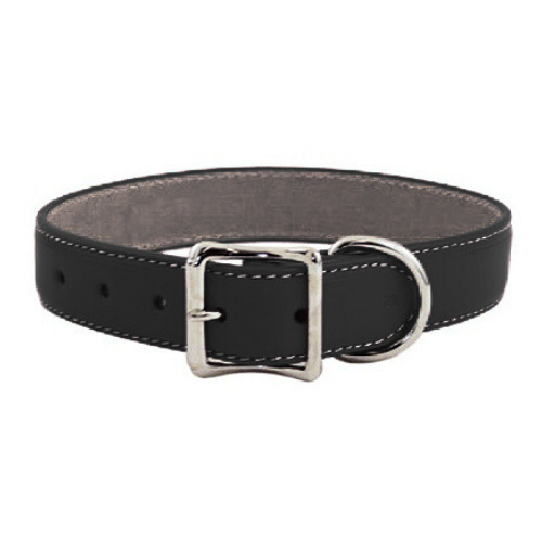 Dover Court Leather Dog Collar