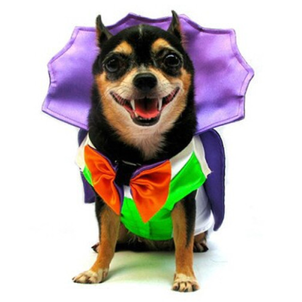 Dogula Pet Dog Costume
