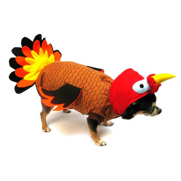 Pet Dog Costume - Turkey