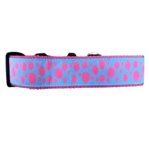 Dog Collar - Polka Dots Pink on Lt Blue - 1/2, 3/4, 1 1/4
