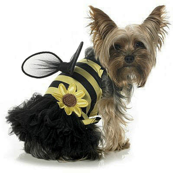 Busy Daisy Bee Dog Costume
