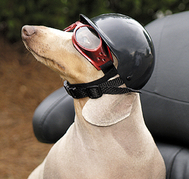 Dog Motorcycle Biker Helmet - Wet Nose Black