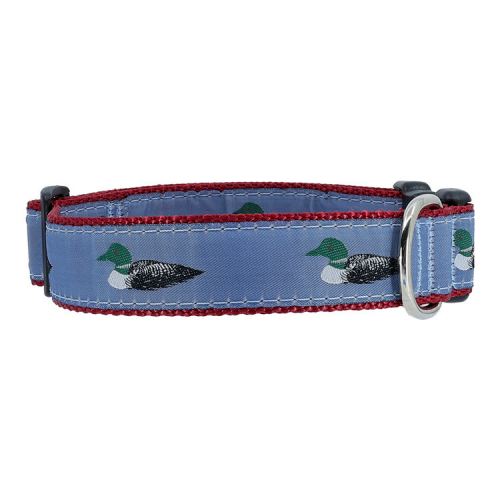 Dog Collar - Loon - 1 1/4