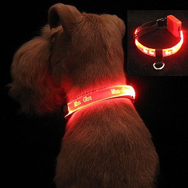 Small Dog LED Collars