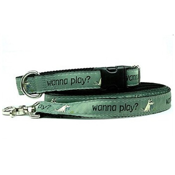 Wanna Play? Dog Collars and Leash