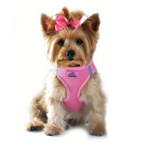 American River Choke Free Step In Dog Harness, Candy Pink