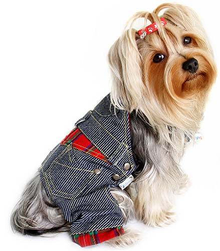Stripey Denim Dog Overalls